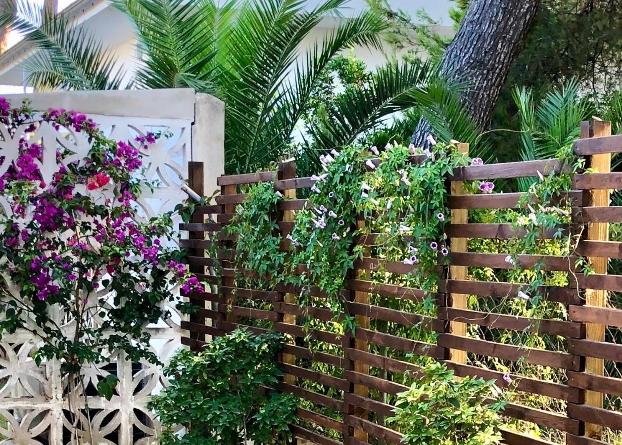 Villa Can Ordinas الكوذيا المظهر الخارجي الصورة